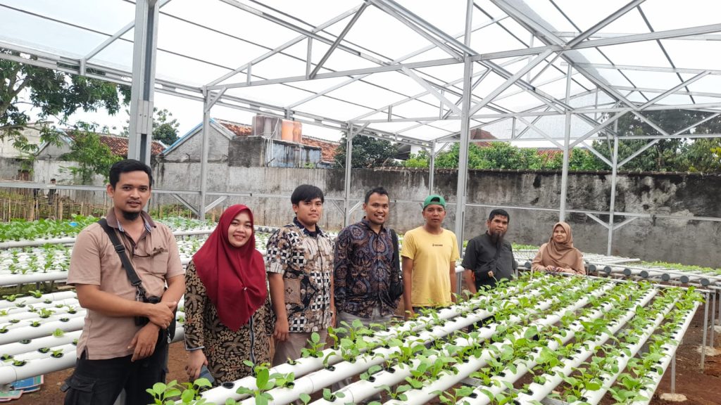 gambar hidroponik